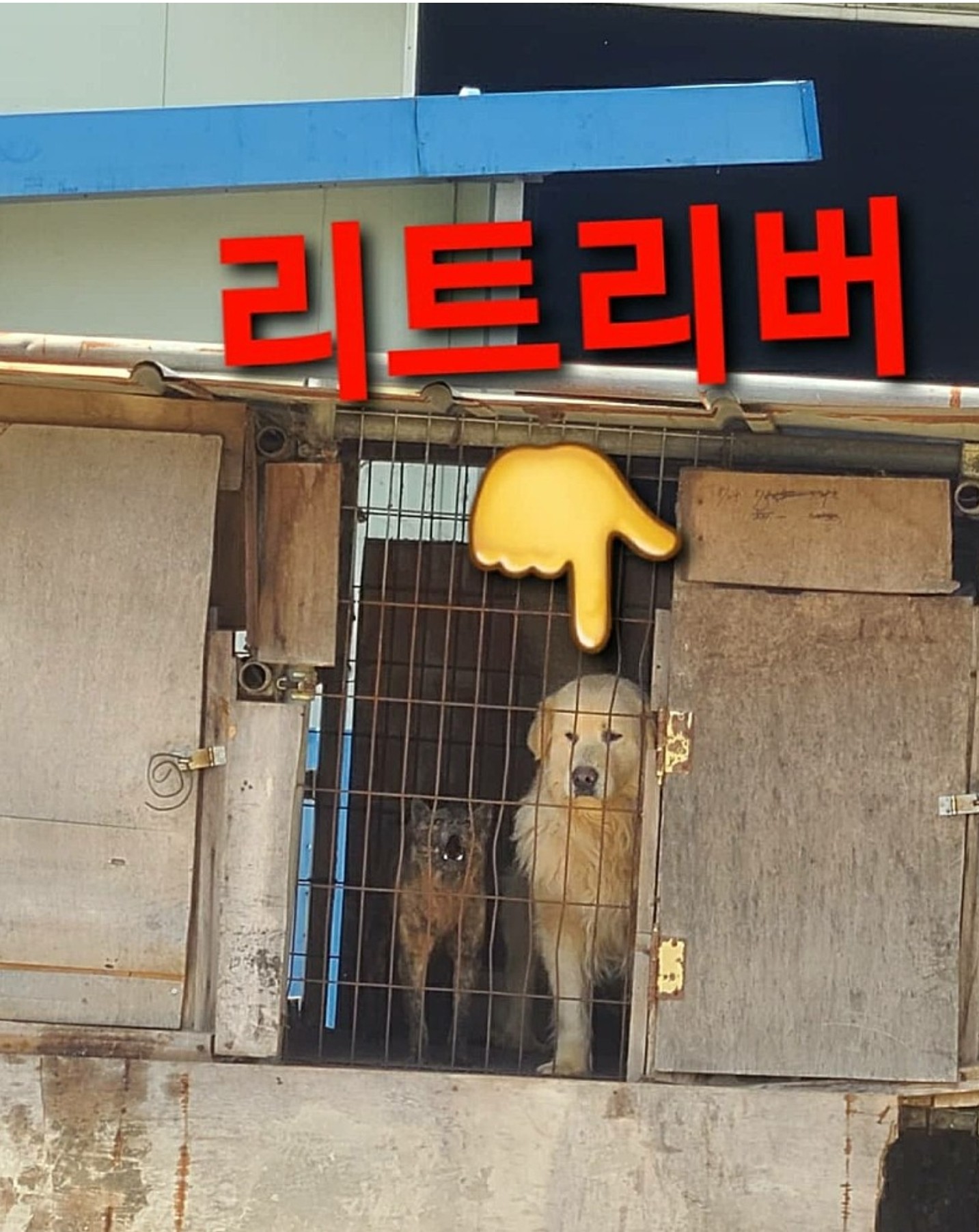 9ceb9b65132accbe3a171d1dce98fd2b_1650374969_2795.jpg