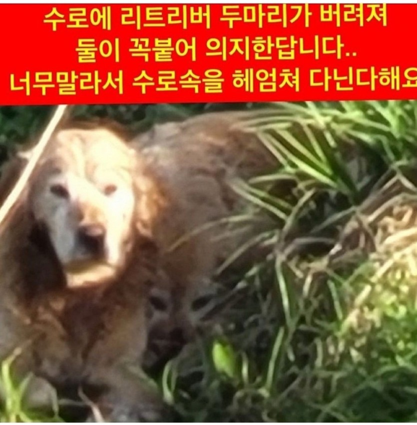 bb881cd75a3fea6e37284fb81654000f_1654755383_6474.jpg